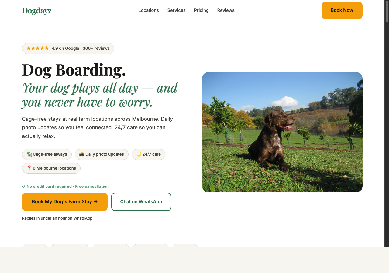 Dogdayz website rebuild