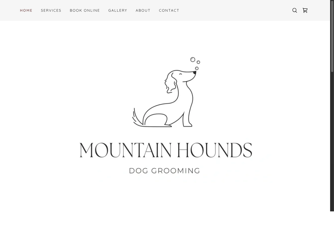 Mountain Hounds website before redesign