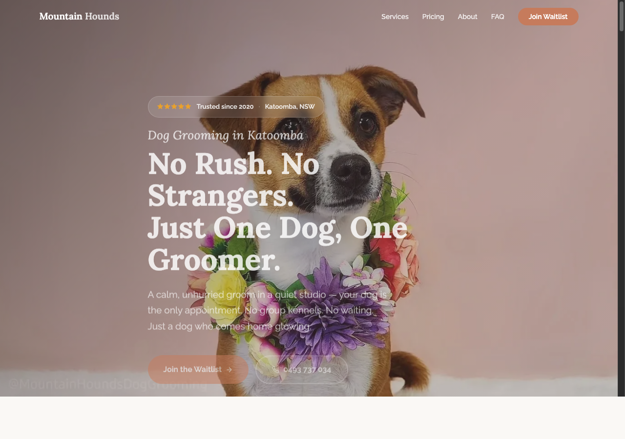 Mountain Hounds website rebuild